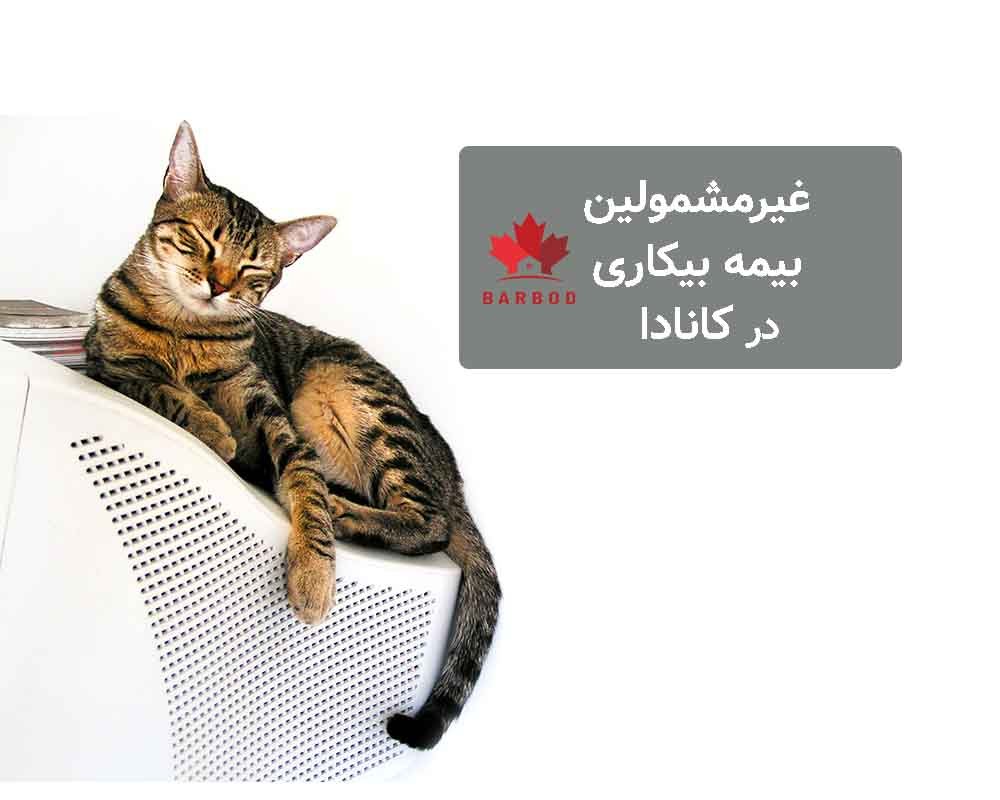 شرایط غیر مشمولین بیمه بیکاری در کانادا چیست؟