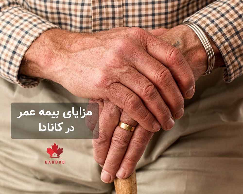 مزایای بیمه عمر در کانادا شامل چیست؟