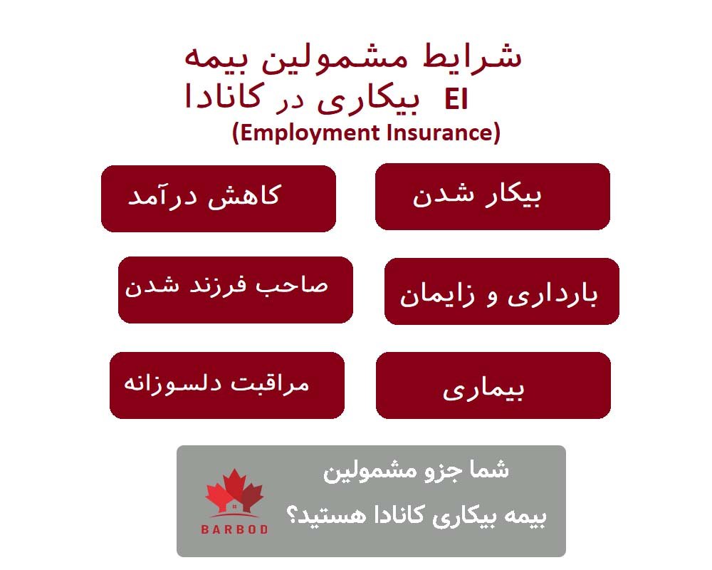 شرایط مشمولین بیمه بیکاری در کانادا چیست؟